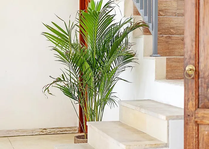Villa Casa Batu Nusa Lembongan (Bali)